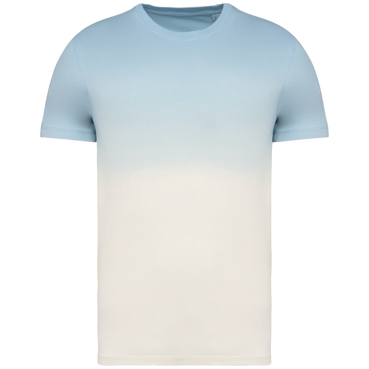 Native Spirit NS345 Dip Dye Aquamarine