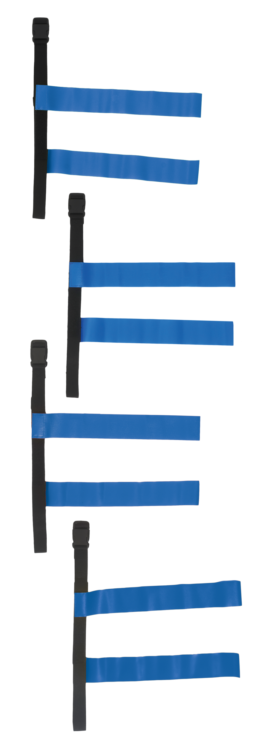 PROACT® PA666 Black / Royal Blue